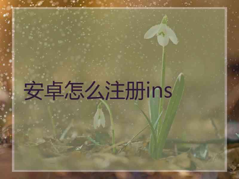 安卓怎么注册ins
