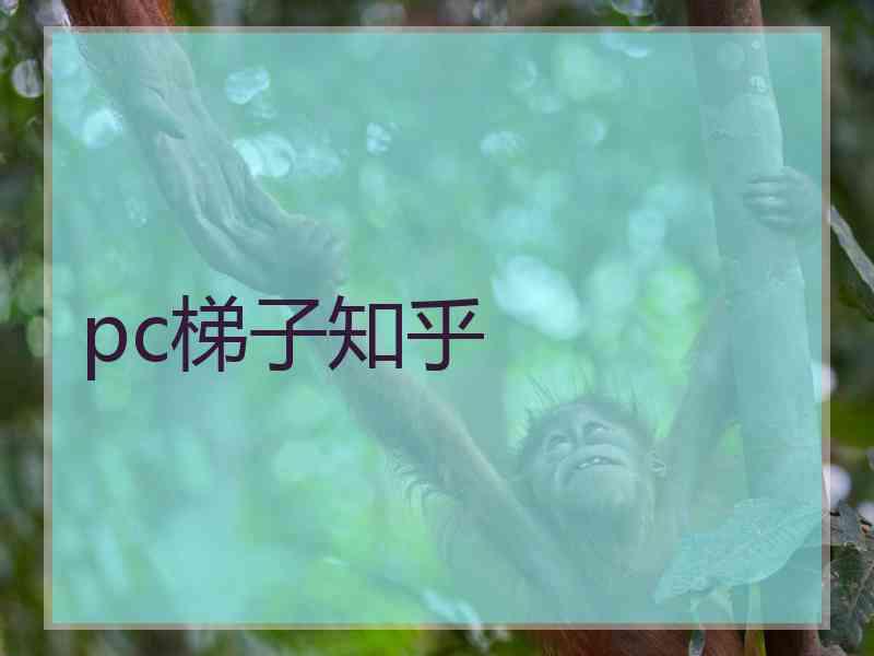 pc梯子知乎