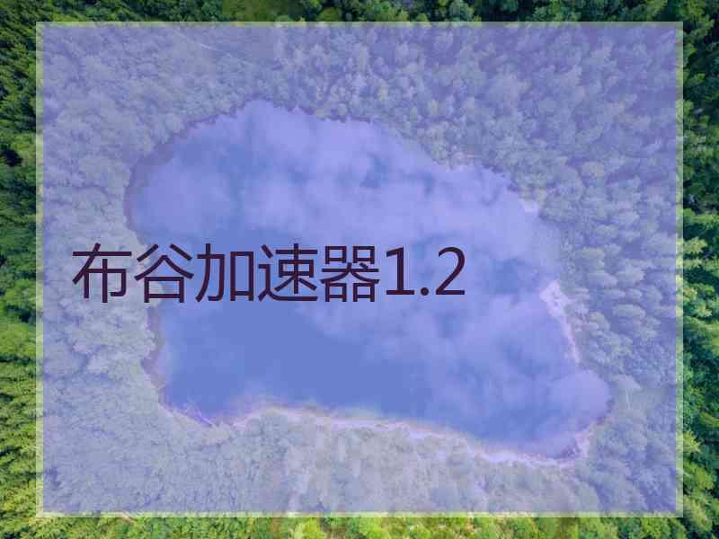 布谷加速器1.2
