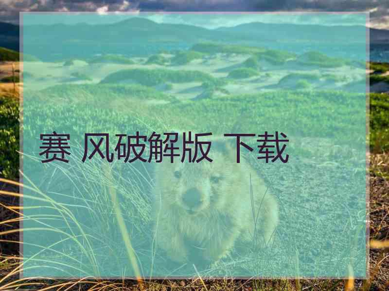 赛 风破解版 下载