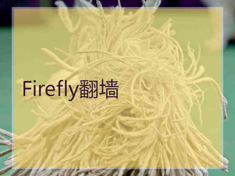 Firefly翻墙
