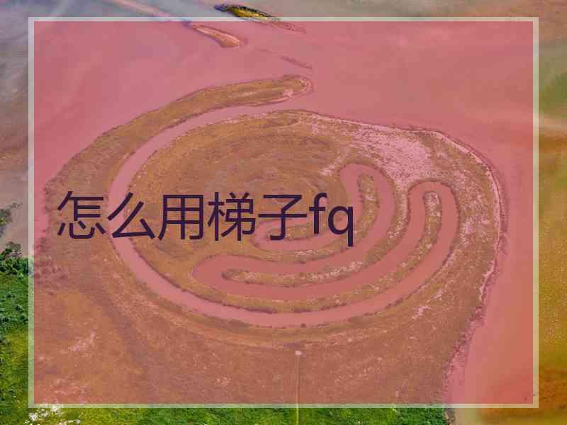 怎么用梯子fq