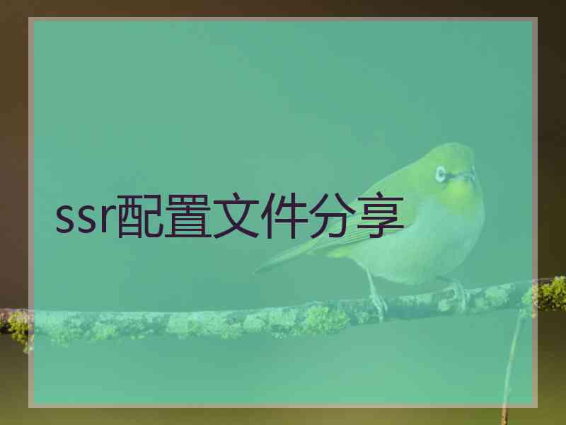 ssr配置文件分享