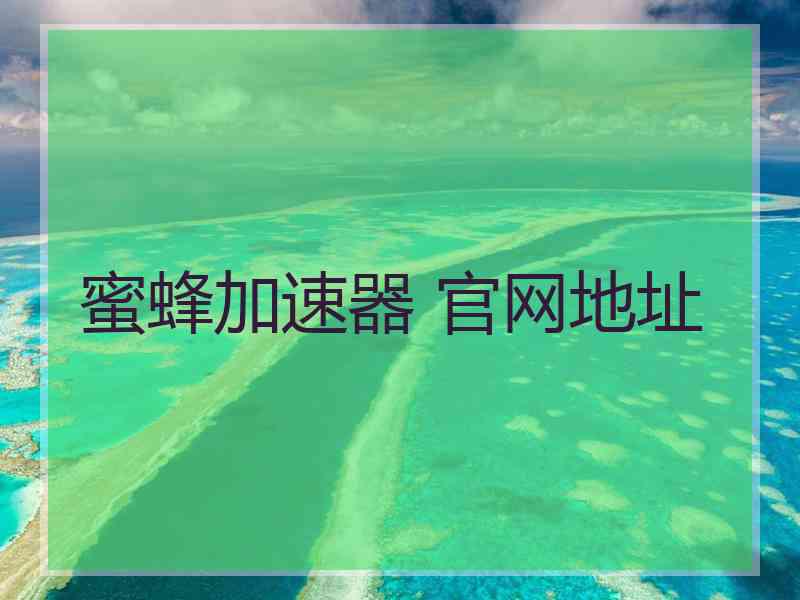 蜜蜂加速器 官网地址