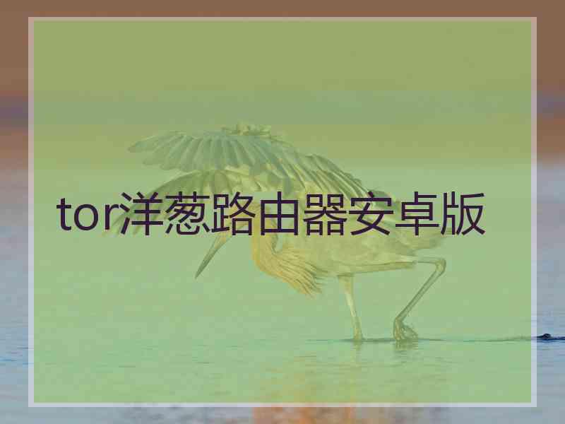 tor洋葱路由器安卓版