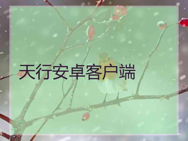 天行安卓客户端