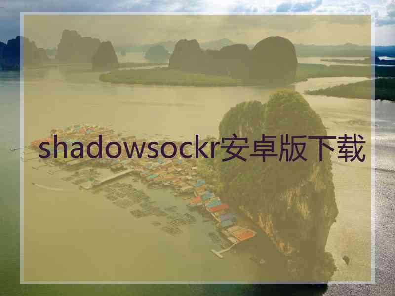 shadowsockr安卓版下载