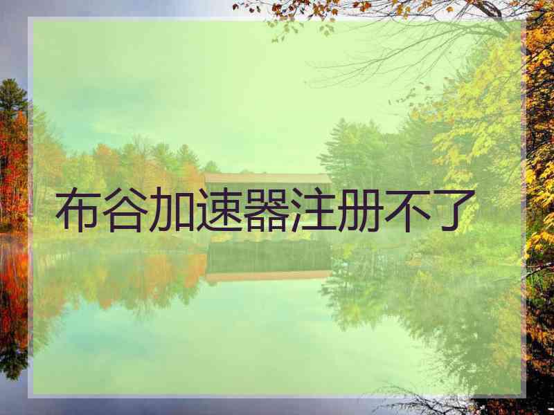 布谷加速器注册不了