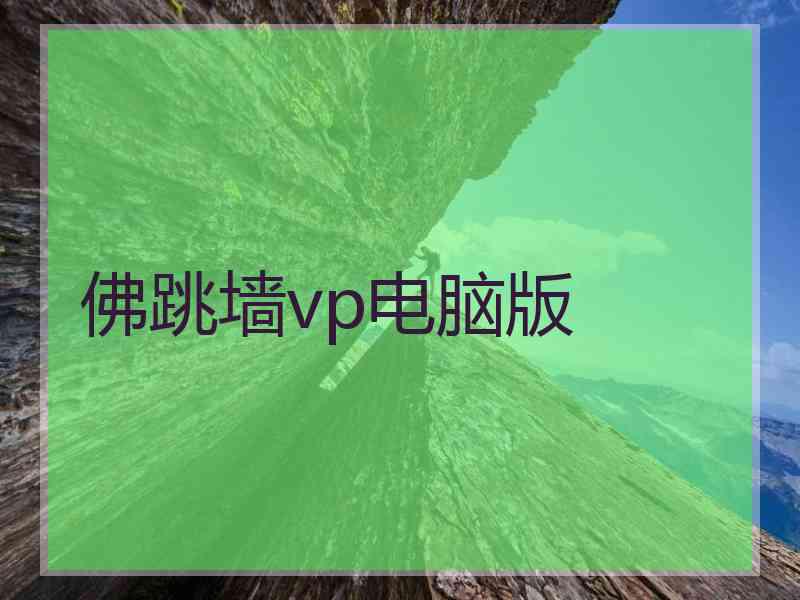 佛跳墙vp电脑版